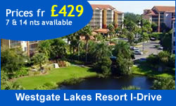 Orlando International Drive Area